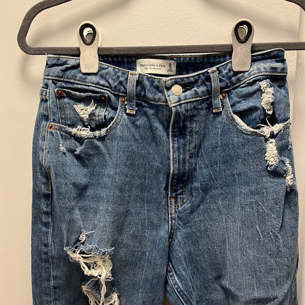 Abercrombie & Fitch Curve Love High Rise Mom Jean